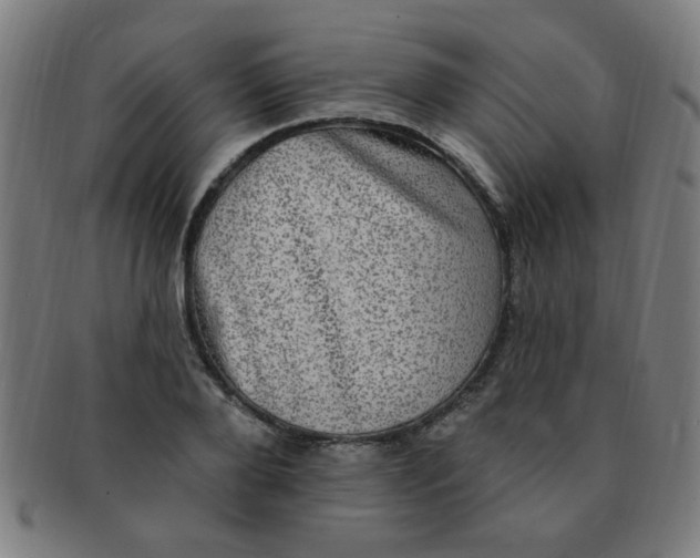 X0000091350888200708241244
