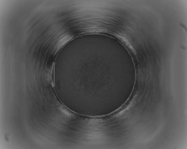 X0000091350889200708241244