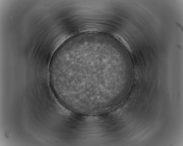 X0000091350890200708241244