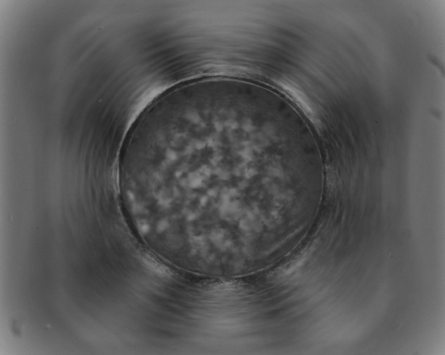 X0000091350891200708241244