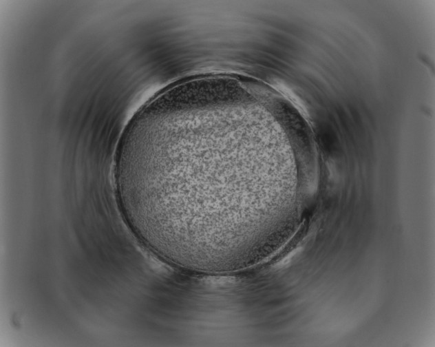 X0000091350893200708241244