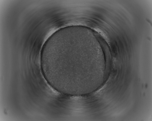 X0000091350894200708241244