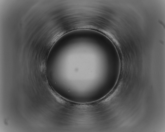 X0000091350897200708241244