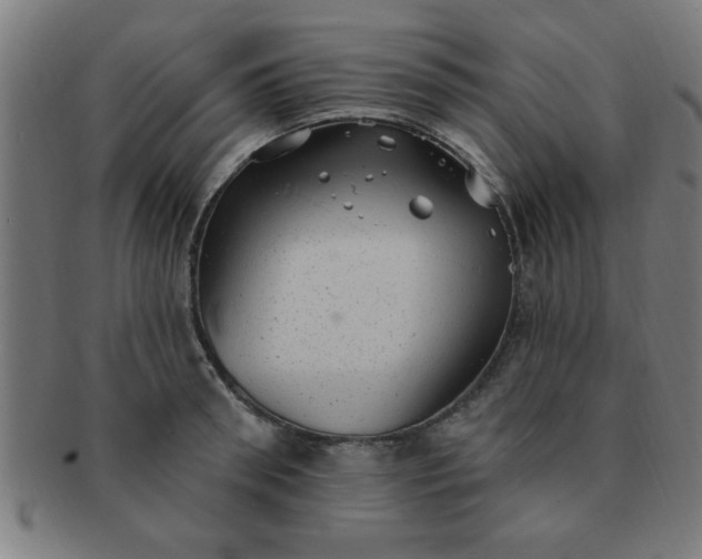 X0000091350898200708241244