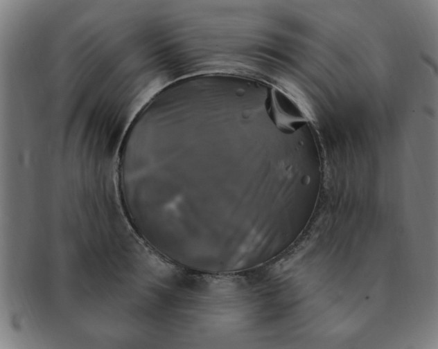 X0000091350899200708241244