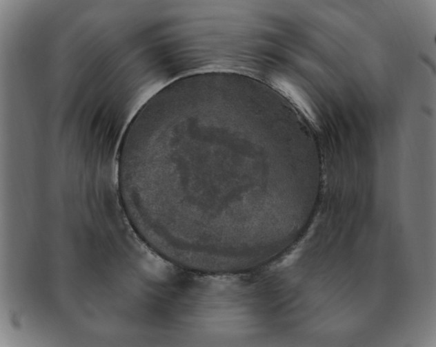 X0000091350900200708241244