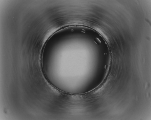 X0000091350901200708241244