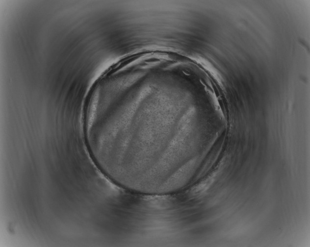 X0000091350902200708241244