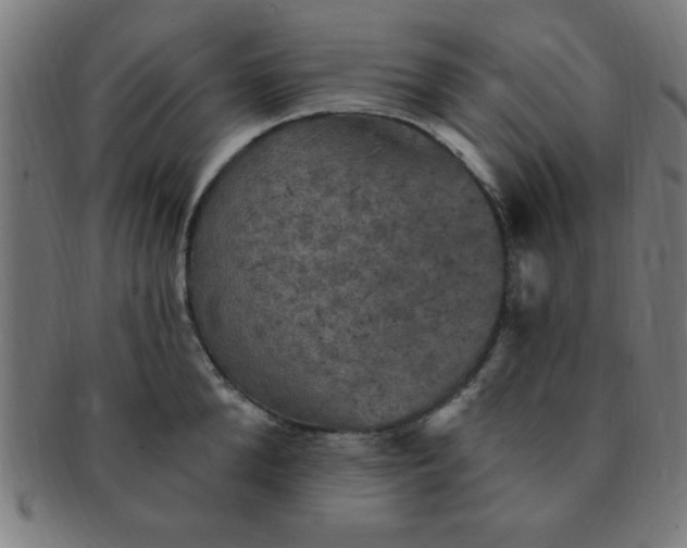 X0000091350904200708241244
