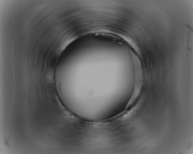 X0000091350905200708241244