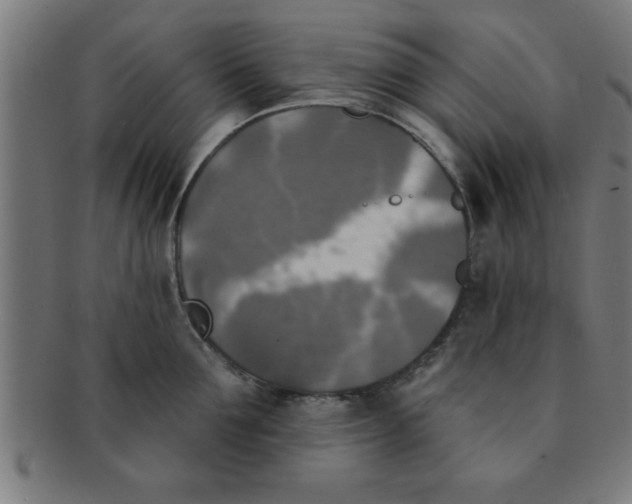 X0000091350907200708241244