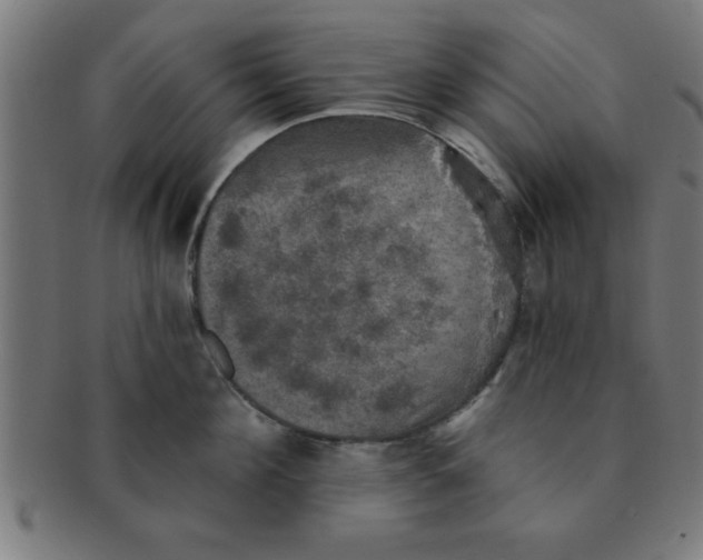 X0000091350908200708241244