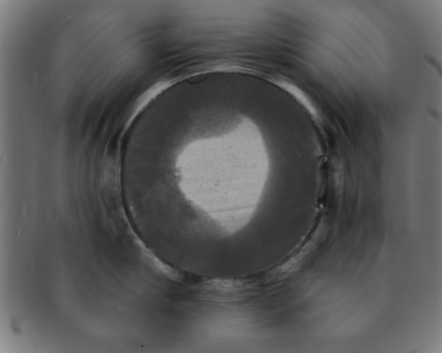 X0000091350910200708241244