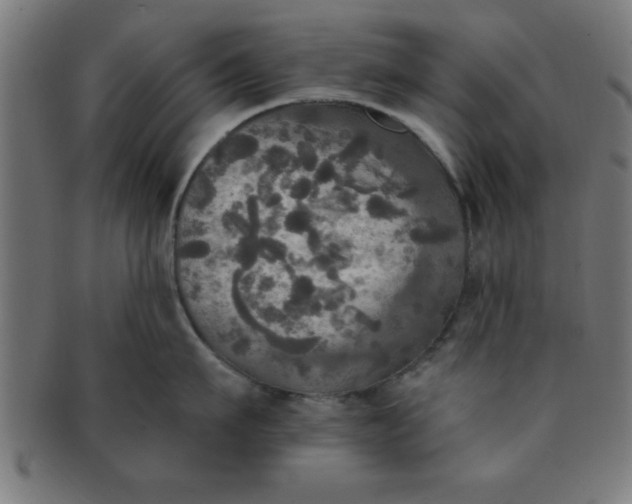 X0000091350911200708241244