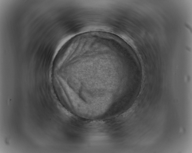 X0000091350912200708241244
