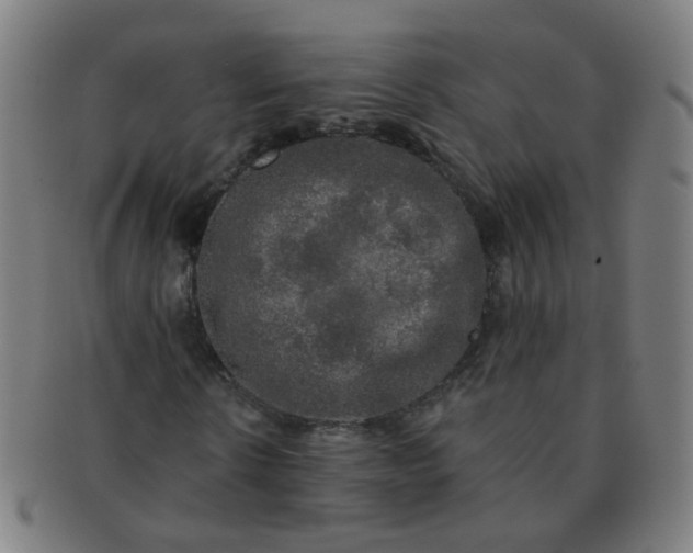 X0000091350914200708241243