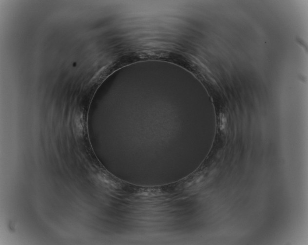 X0000091350915200708241243