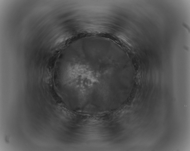 X0000091350917200708241243