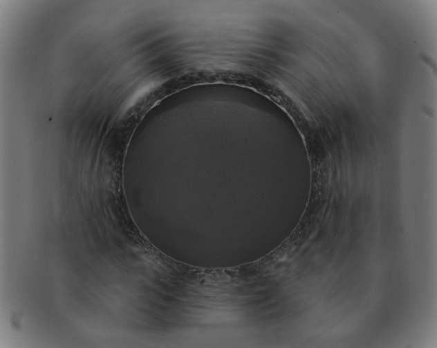X0000091350919200708241243