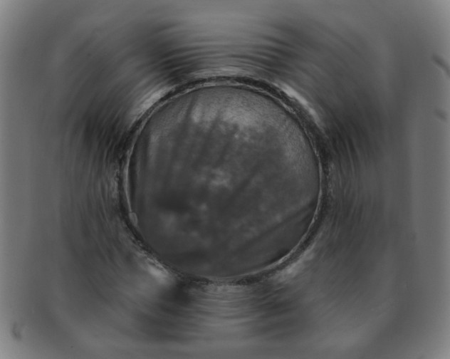 X0000091350921200708241243