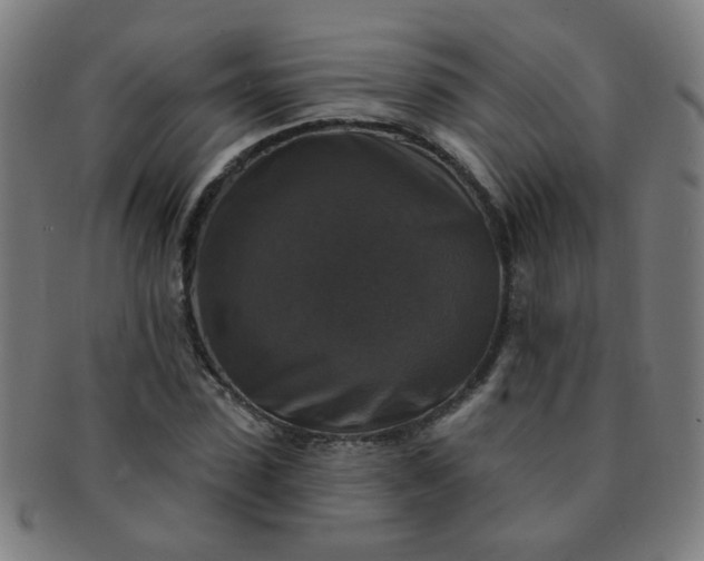 X0000091350923200708241243