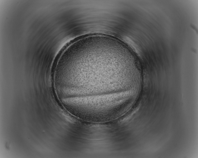 X0000091350924200708241243