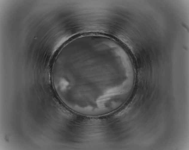 X0000091350925200708241243