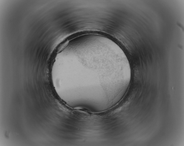 X0000091350926200708241243