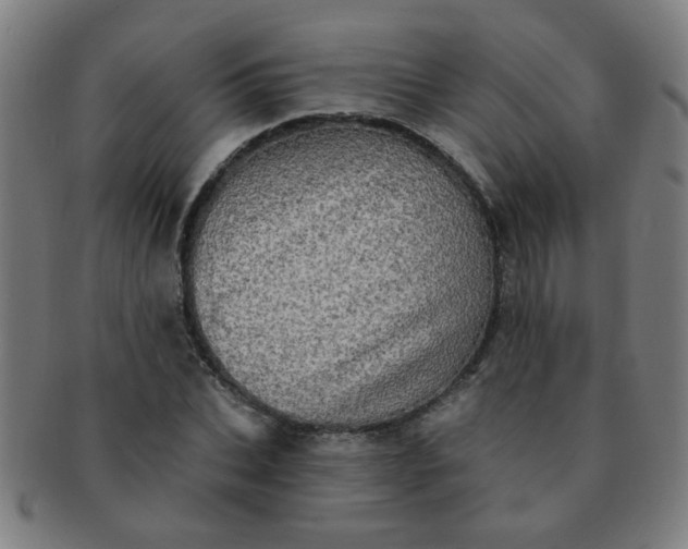 X0000091350927200708241243