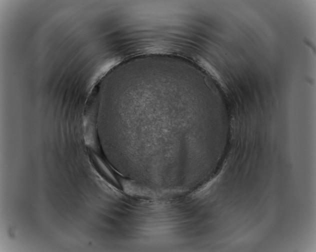 X0000091350930200708241243