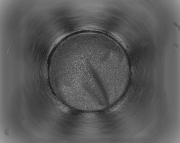 X0000091350931200708241243