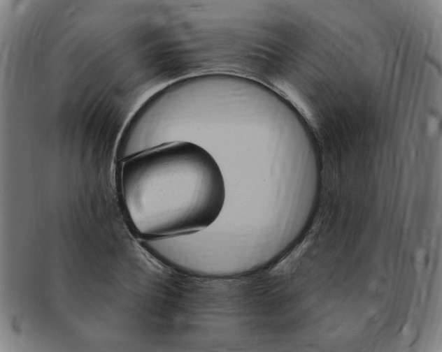 X0000091350932200708241243