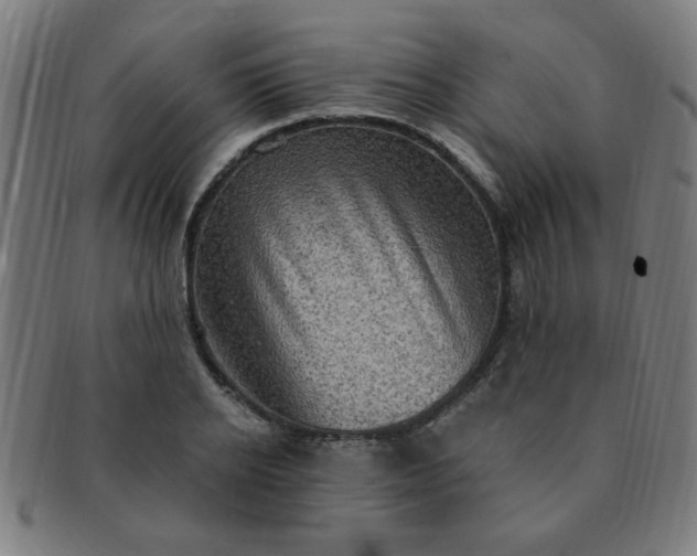 X0000091350934200708241243