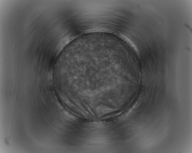 X0000091350937200708241243