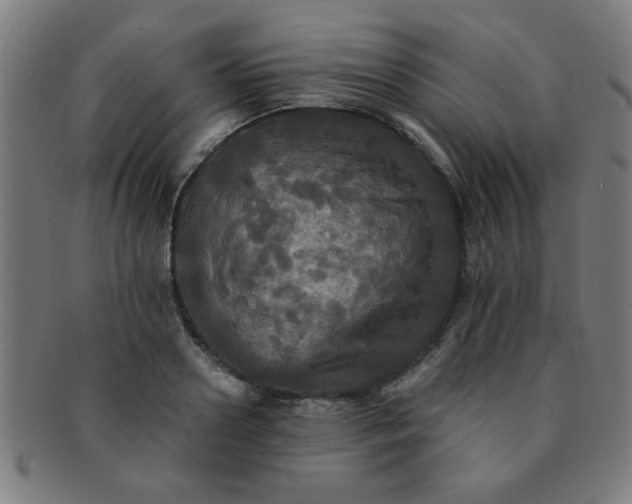 X0000091350938200708241243