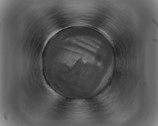 X0000091350939200708241243