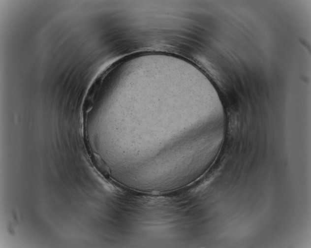 X0000091350940200708241243