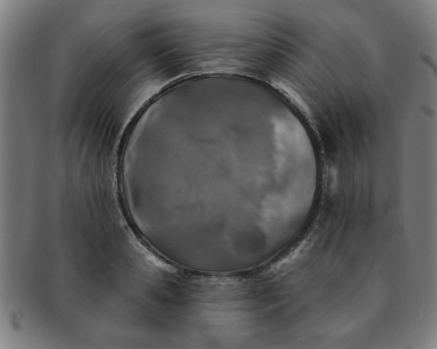 X0000091350941200708241243