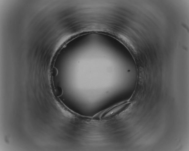 X0000091350942200708241243