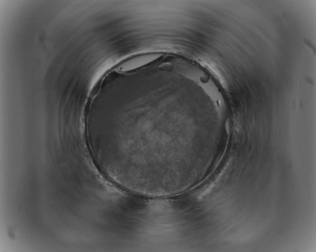 X0000091350944200708241243