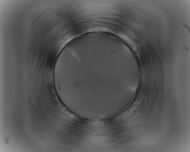 X0000091350945200708241243