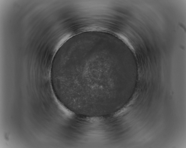 X0000091350946200708241243