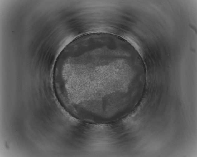 X0000091350949200708241243