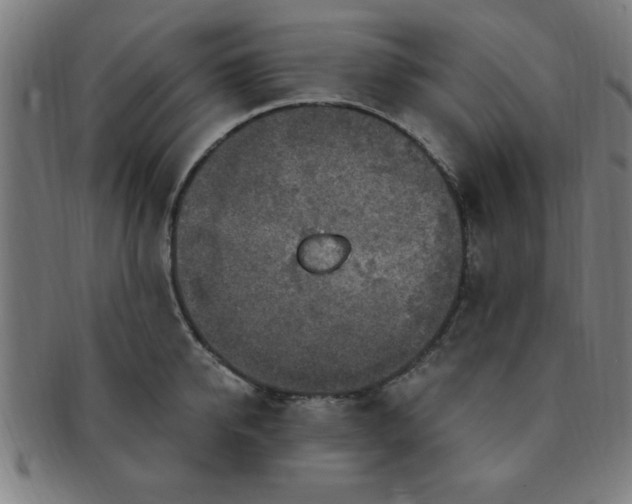 X0000091350950200708241243