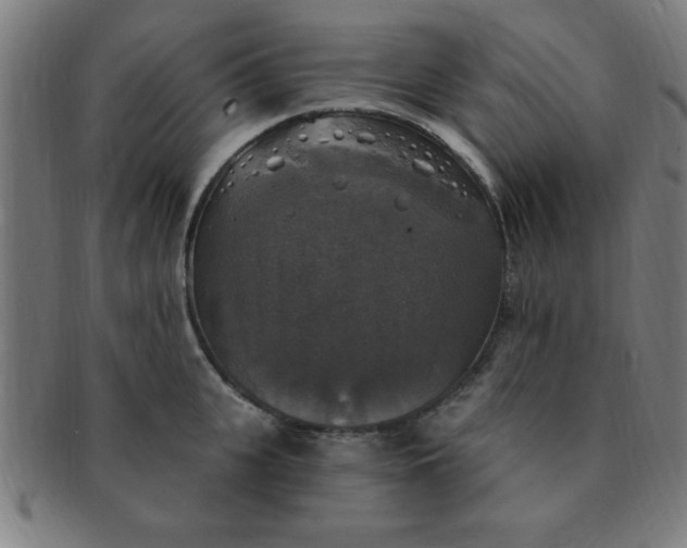 X0000091350951200708241243