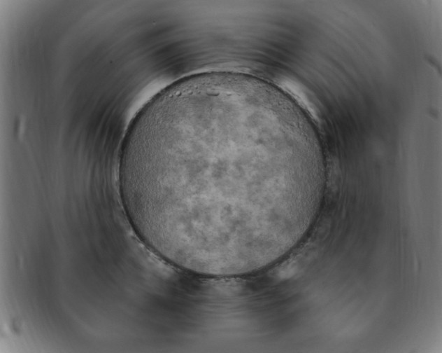 X0000091350952200708241243