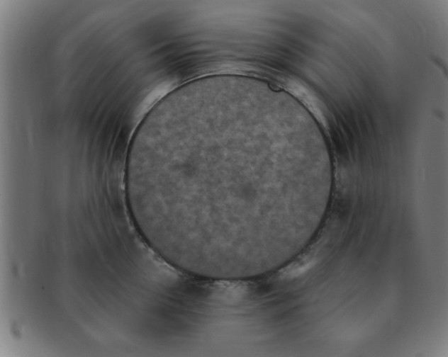 X0000091350954200708241243