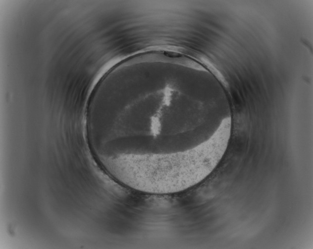 X0000091350955200708241243