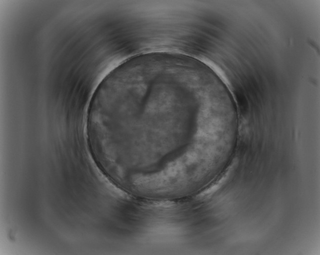 X0000091350957200708241244