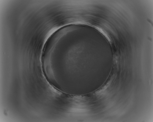 X0000091350959200708241244